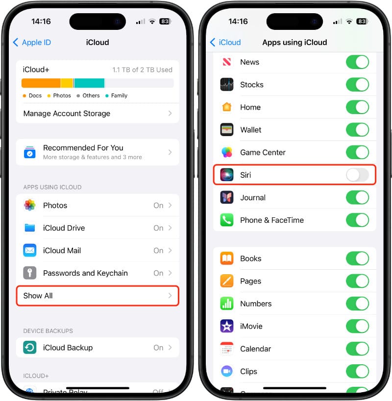Turn off Siri on iCloud on iOS and iPadOS