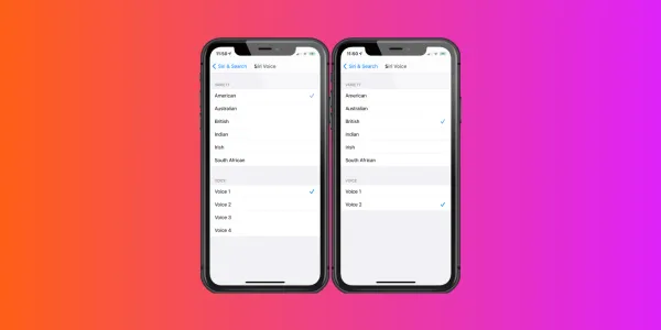 14.5 Voice Options