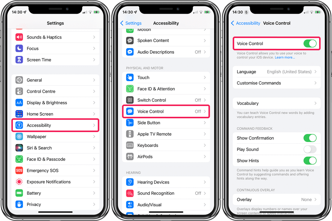 iPhone Voice Control settings